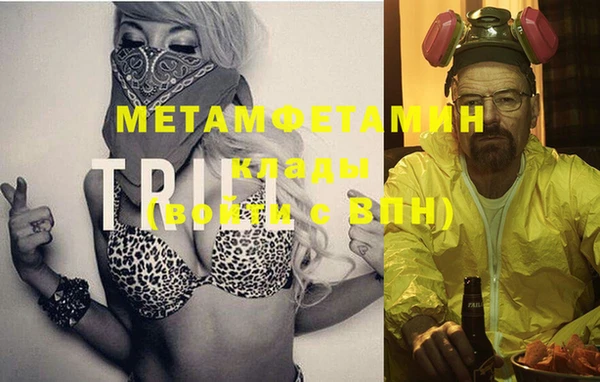 ECSTASY Вяземский
