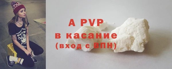 ECSTASY Вяземский