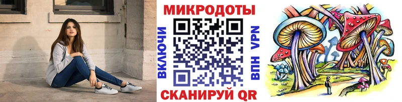 Купить  Опочка  Псилоцибиновые грибы Cubensis 
